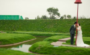 婚礼上如何撒花瓣