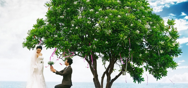 水下相关婚纱照