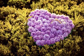 厦门婚纱/婚礼/鲜花三者之间存在哪种情趣关联